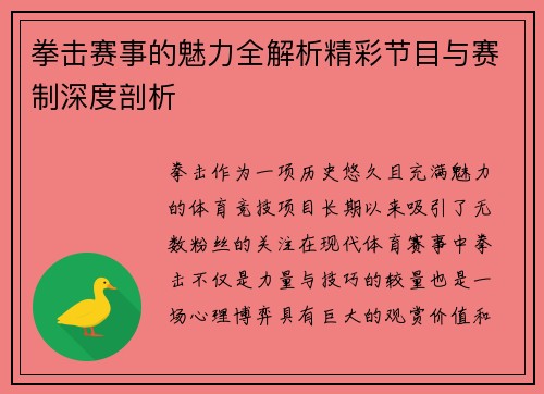 拳击赛事的魅力全解析精彩节目与赛制深度剖析