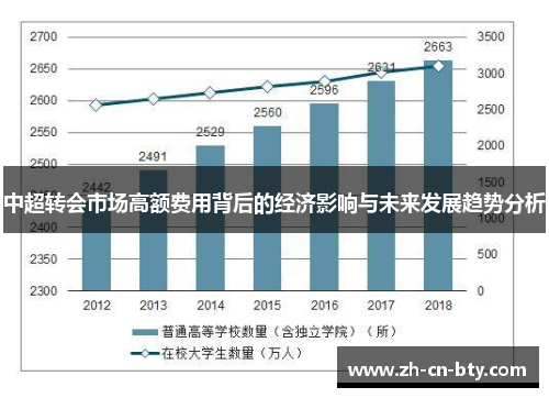 中超转会市场高额费用背后的经济影响与未来发展趋势分析