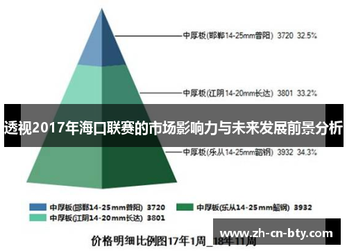 透视2017年海口联赛的市场影响力与未来发展前景分析