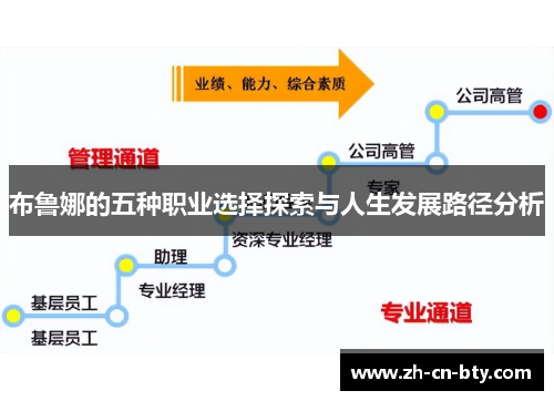 布鲁娜的五种职业选择探索与人生发展路径分析