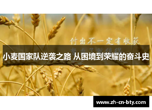 小麦国家队逆袭之路 从困境到荣耀的奋斗史 小麦国家队逆袭之路 从困境到荣耀的奋斗史
